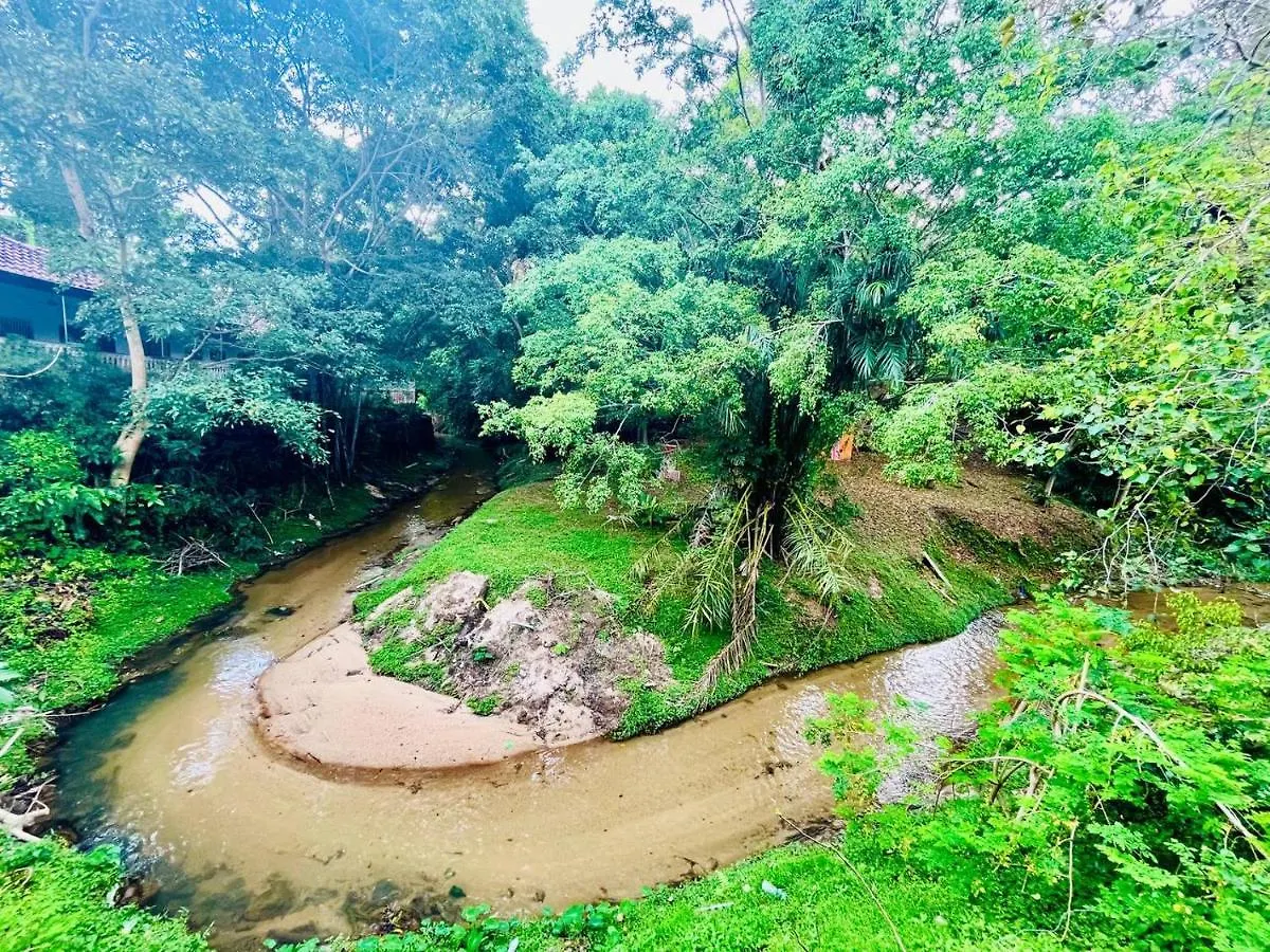 Riverside Botanical Retreat + Nature-Surround Pool +Bbq Patio! Βίλα Τζωρτζ Τάουν 0*,